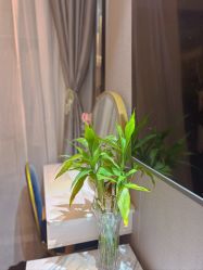 -哈颜科技轻美·