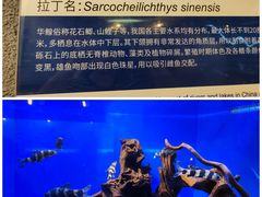 -上海海洋水族馆