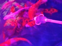 -梦幻海洋王国(吾悦广场张家港店)