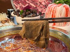 -二荆条·蜀鲜汇城市森林火锅