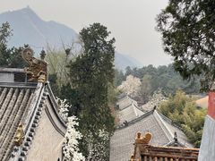 -潭柘寺景区