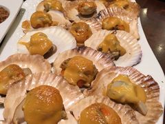 -黑松白鹿(崇文门新活馆店)