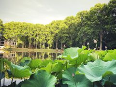 -河南省黄河迎宾馆