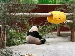 -杭州野生动物世界