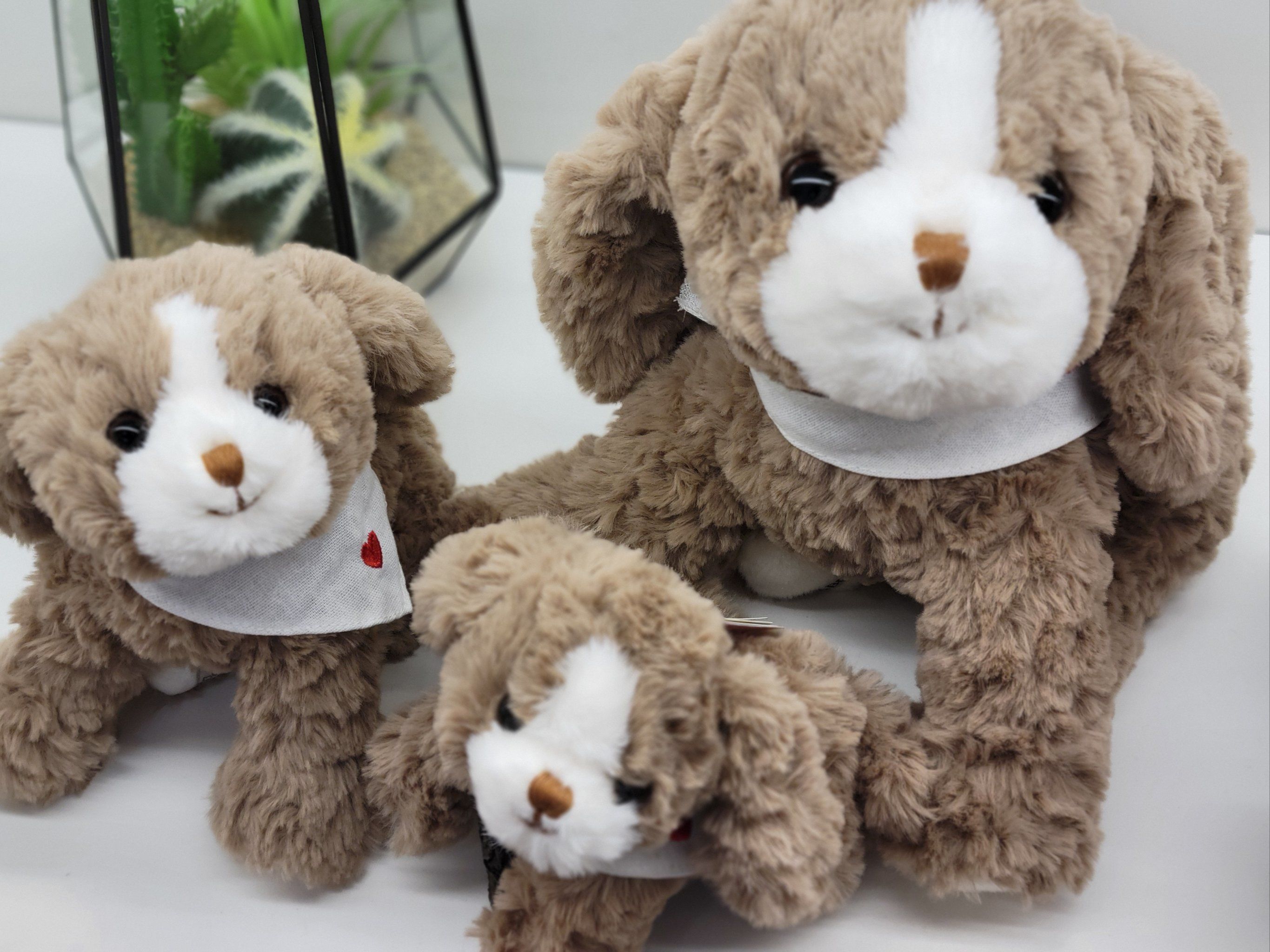 可爱玩偶#潮流玩具#玩偶遇到爱
