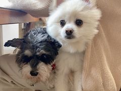 -零几体验diy皮具工作室(振业城店)