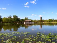 -西海子公园