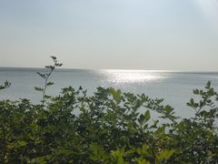 -贡湖湾湿地公园
