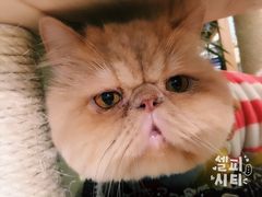 -小时光咖啡馆(开森度假森林店)