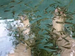 -黄山温泉国际旅游度假区