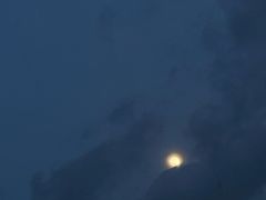 -仙海旅游度假区