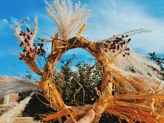 -大连北马山庄