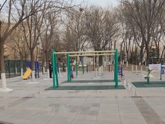-金星公园