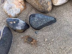 -黄金海岸环岛路