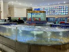 -龙悦湾酒家·八阵鱼生·渔人码头店