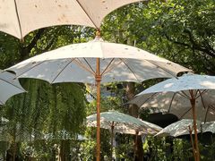 -Fern Forest Cafe