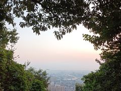 -惠山国家森林公园