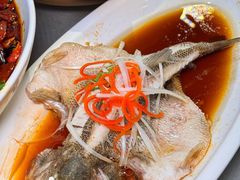 -陈麻婆豆腐(旗舰店)