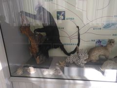 -北京中医药大学-中医药博物馆