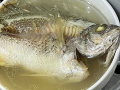 -顺和隆炖罐