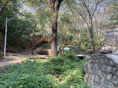 -大岭沟猕猴桃谷风景区