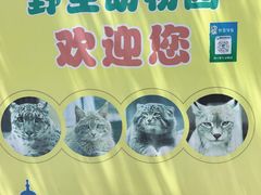 -青藏高原野生动物园