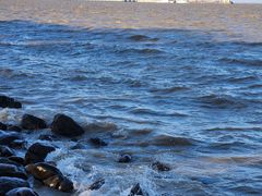 -上海吴淞炮台湾国家湿地公园