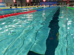 -陕西省游泳跳水馆