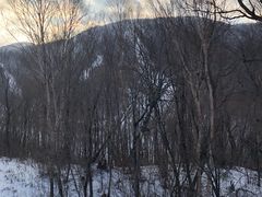 -亚布力新体委滑雪场