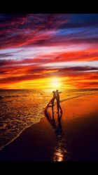 点击看大图 戛纳印象摄影工作室(南开定制店)-戛纳印象摄影(潮拍定制馆)