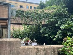 -看见远方·莫干遥远的山民宿