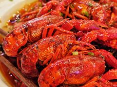 -霸王虾·麻辣小龙虾(清水河公园店)