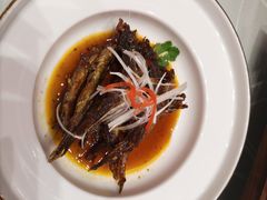 -天津津利华酒店