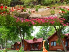 -济南野生动物世界