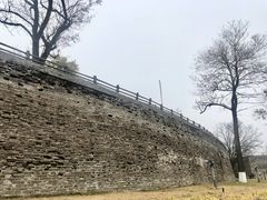 -开封城墙景区