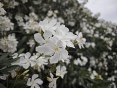 -中山公园