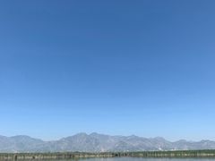 -哈素海