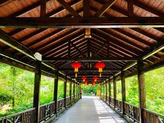 -韶关经律论国际酒店温泉