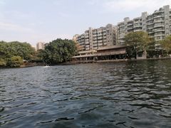 -荔湾湖公园