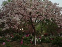 -江南大学(蠡湖校区)