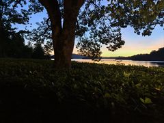 -羡餐厅-千岛湖自由洲际殿