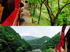 -岚山嵯峨野观光小火车