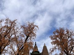 -北京石刻艺术博物馆(五塔寺)