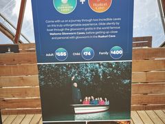 -怀托摩萤火虫洞