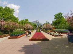 -南山植物园