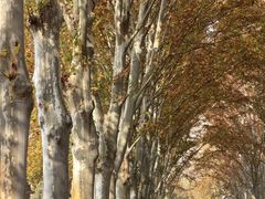 -河南省黄河迎宾馆