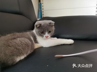谁家的小可爱丢了啊(ಥ_ಥ)