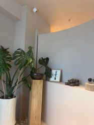 -芳香乐府SPA·五行芳疗