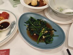 -金华安大酒楼·老牌潮菜·粤式茶点(东方国际店)