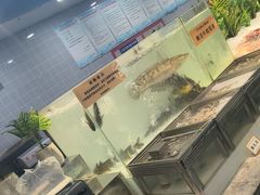 -金滏山烤肉·海鲜·火锅自助餐厅(襄阳万达店)